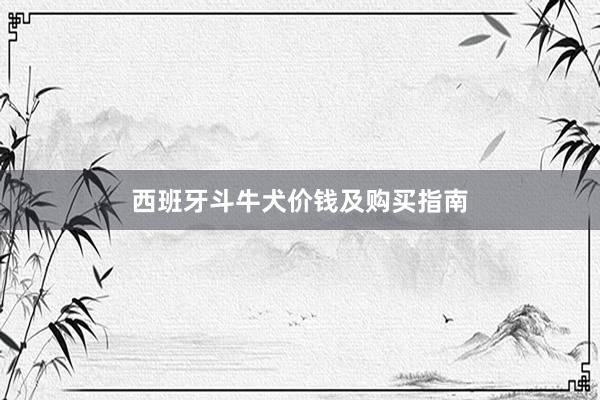 西班牙斗牛犬价钱及购买指南