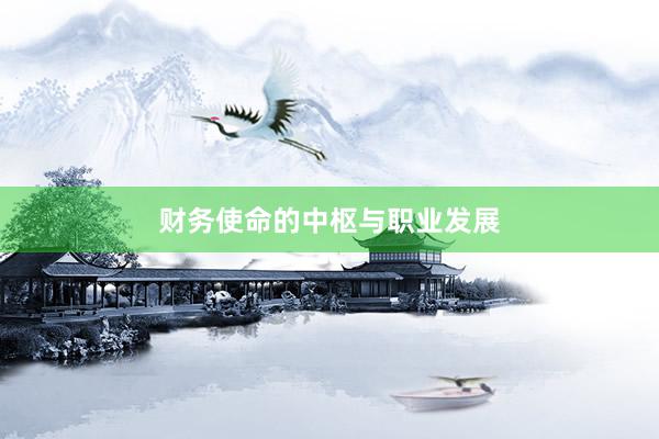 财务使命的中枢与职业发展